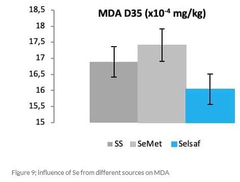 Selsaf®, a natural source of selenium with dual protection and dual benefits - Image 10