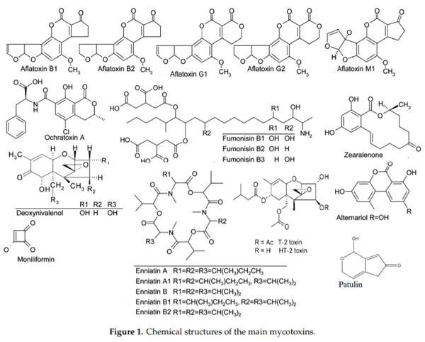Advances in Occurrence, Importance, and Mycotoxin Control Strategies: Prevention and Detoxification in Foods - Image 1