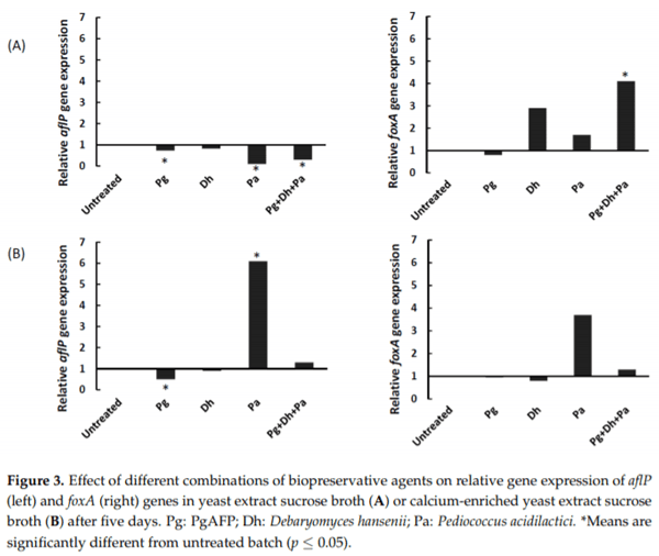 Inhibitory Effect of PgAFP and Protective Cultures on Aspergillus parasiticus Growth and Aflatoxins Production on Dry-Fermented Sausage and Cheese - Image 6