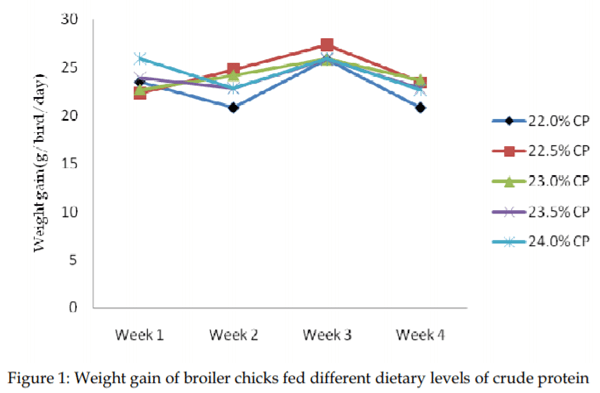 Dietary Levels of Protein and Sustainable Broiler Production - Image 4