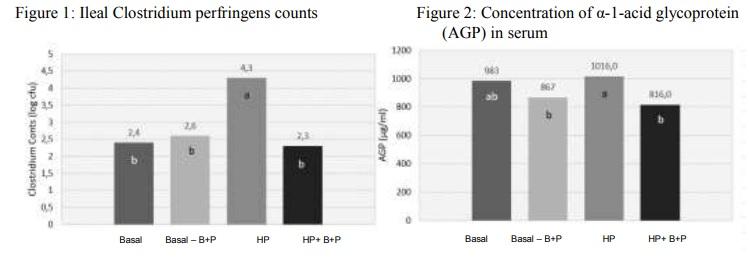 Use of a Bacillus licheniformis and its derived protease on subclinical necrotic enteritis in broilers - Image 1