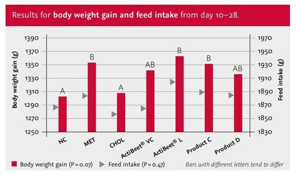 The effect of four betaine products on replacing methionine and choline supplementation on growth performance in broiler chickens from 10 to 28 days of age - Image 2