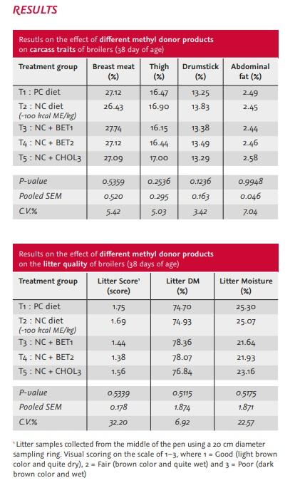 Comparing the effect of different methyl group donors on the carcass quality of broilers in challenged conditions and the effect on the litter quality, from 0 to 38 days of age - Image 3