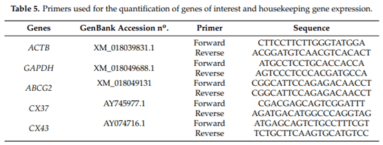 Equol: A Microbiota Metabolite Able to Alleviate the Negative Effects of Zearalenone during In Vitro Culture of Ovine Preantral Follicles - Image 8