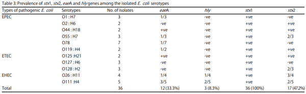 Genetic Variation among Avian Pathogenic E. coli Strains Isolated from Broiler Chickens - Image 7