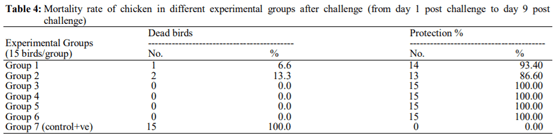 Evaluation of Some Vaccination Programs in Protection of Experimentally Challenged Broiler Chicken against Newcastle Disease Virus - Image 7