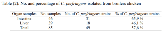 PCR based detection of Alpha toxin gene in Clostridium perfringens strains isolated from diseased broiler chickens - Image 2