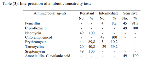 PCR based detection of Alpha toxin gene in Clostridium perfringens strains isolated from diseased broiler chickens - Image 3