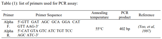 PCR based detection of Alpha toxin gene in Clostridium perfringens strains isolated from diseased broiler chickens - Image 1