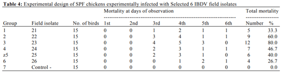 Variations in Pathogenicity and Molecular Characterization of Infectious Bursal Disease Virus (IBDV) in Egypt - Image 9