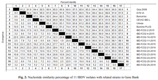 Variations in Pathogenicity and Molecular Characterization of Infectious Bursal Disease Virus (IBDV) in Egypt - Image 5