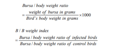 Variations in Pathogenicity and Molecular Characterization of Infectious Bursal Disease Virus (IBDV) in Egypt - Image 3