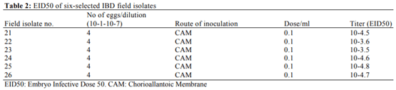 Variations in Pathogenicity and Molecular Characterization of Infectious Bursal Disease Virus (IBDV) in Egypt - Image 2