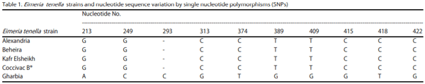 Identifying Intra-Specific Variability in the Virulence of Eimeria tenella Using SCAR Markers - Image 2