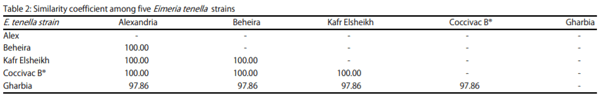 Identifying Intra-Specific Variability in the Virulence of Eimeria tenella Using SCAR Markers - Image 3