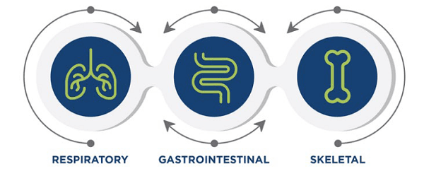 What Have We Learned about the Use of Spray-Dried Plasma in Broilers? - Image 1