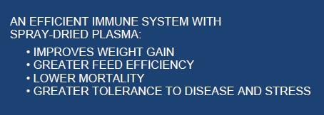 What Have We Learned about the Use of Spray-Dried Plasma in Broilers? - Image 3