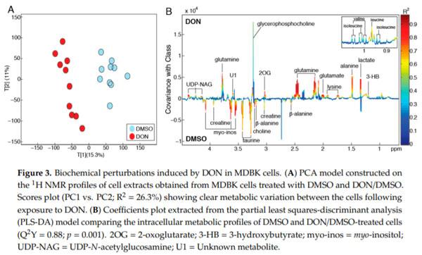 The Mycotoxin Deoxynivalenol Significantly Alters the Function and Metabolism of Bovine Kidney Epithelial Cells In Vitro - Image 3