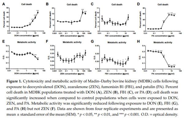 The Mycotoxin Deoxynivalenol Significantly Alters the Function and Metabolism of Bovine Kidney Epithelial Cells In Vitro - Image 1