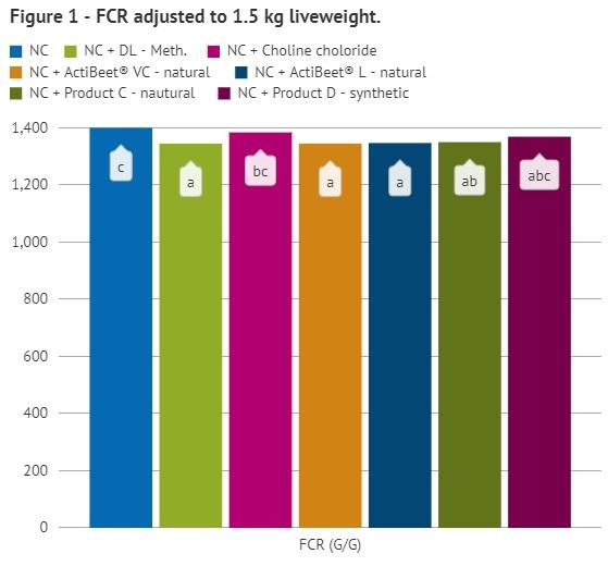 Better feed efficiency with naturally sourced betaine - Image 3