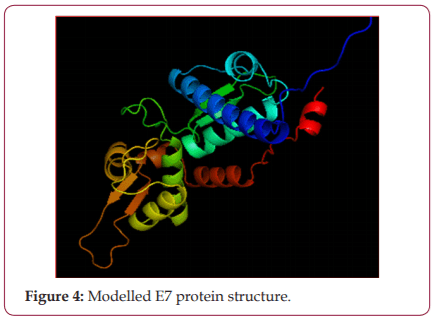 Investigation of Biosynthesized Silver Nano Particles Interaction From Halymenia Porphyroides With The E7 Protein Using Bioinformatics Tool - Image 4