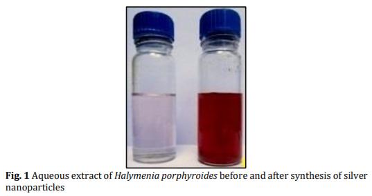 Biosynthesis and Characterization of Silver Nanoparticles from Marine Macroscopic Red Seaweed Halymenia porphyroides Boergesen (Crypton) - Image 1
