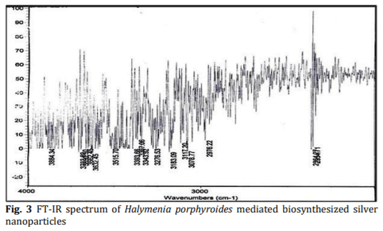 Biosynthesis and Characterization of Silver Nanoparticles from Marine Macroscopic Red Seaweed Halymenia porphyroides Boergesen (Crypton) - Image 3