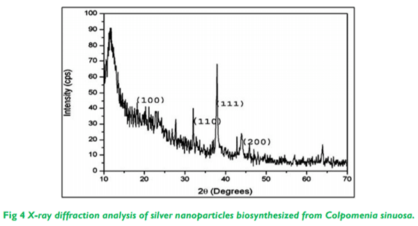 Biosynthesis and Characterization of Silver Nanoparticles from Marine Seaweed Colpomenia Sinuosa and its Antifungal Efficacy - Image 4
