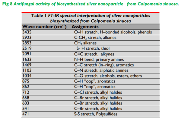 Biosynthesis and Characterization of Silver Nanoparticles from Marine Seaweed Colpomenia Sinuosa and its Antifungal Efficacy - Image 9