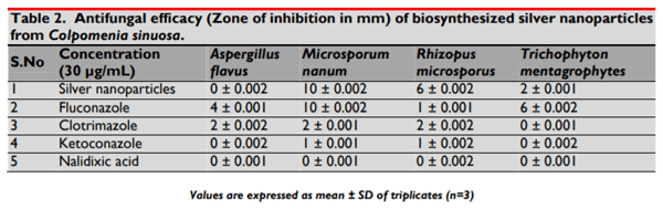 Biosynthesis and Characterization of Silver Nanoparticles from Marine Seaweed Colpomenia Sinuosa and its Antifungal Efficacy - Image 10