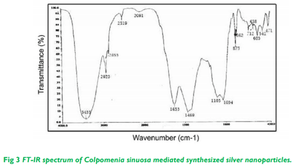 Biosynthesis and Characterization of Silver Nanoparticles from Marine Seaweed Colpomenia Sinuosa and its Antifungal Efficacy - Image 3
