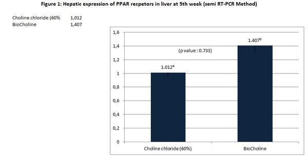 The effect of an alternative to synthetic choline on growth response, hepatic gene regulation and adiponectin expression in broilers - Image 3