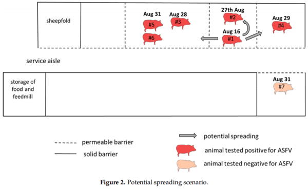 African Swine Fever in a Bulgarian Backyard Farm—A Case Report - Image 2