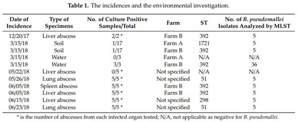 Investigation of Melioidosis Outbreak in Pig Farms in Southern Thailand - Image 2