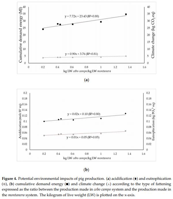 Life Cycle Assessment of Iberian Traditional Pig Production System in Spain - Image 8