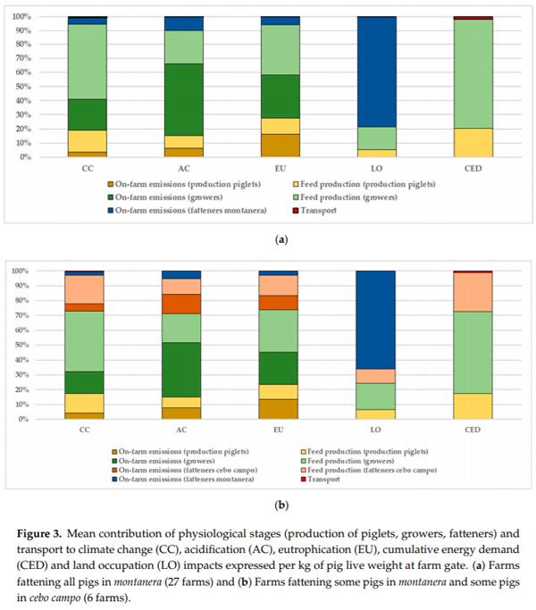 Life Cycle Assessment of Iberian Traditional Pig Production System in Spain - Image 7
