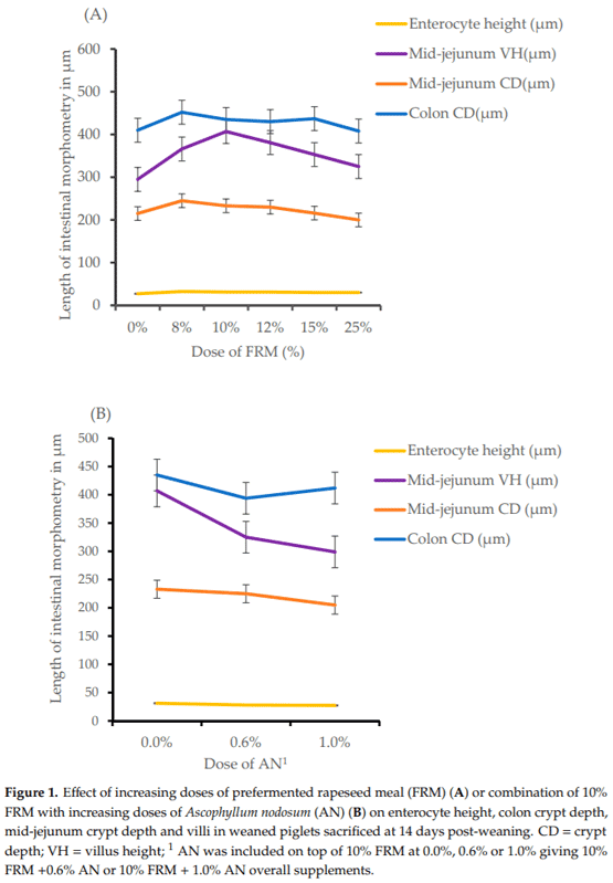 Effects of Increasing Doses of Lactobacillus Pre-Fermented Rapeseed Product with or without Inclusion of Macroalgae Product on Weaner Piglet Performance and Intestinal Development - Image 4