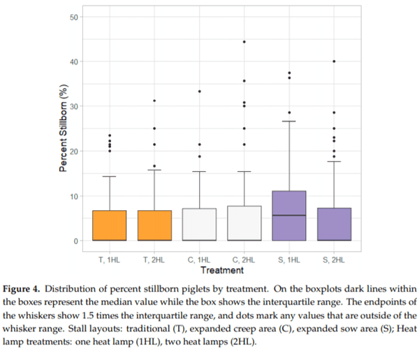 Effects of Farrowing Stall Layout and Number of Heat Lamps on Sow and Piglet Production Performance - Image 6