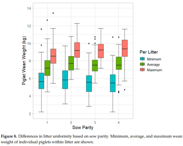 Effects of Farrowing Stall Layout and Number of Heat Lamps on Sow and Piglet Production Performance - Image 11