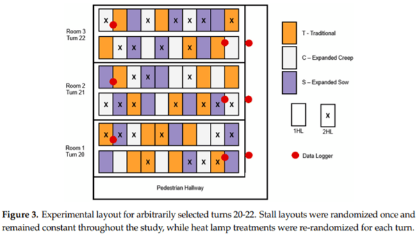 Effects of Farrowing Stall Layout and Number of Heat Lamps on Sow and Piglet Production Performance - Image 3