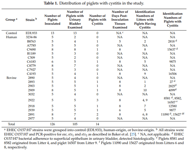 Intimate Attachment of Escherichia coli O157:H7 to Urinary Bladder Epithelium in the Gnotobiotic Piglet Model - Image 1