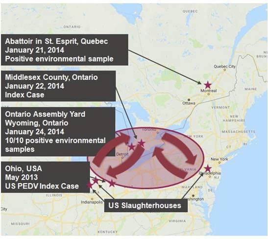 Lessons Learned on Virus Transmission: A Retrospective View of the Canada PEDV Outbreak - Image 1