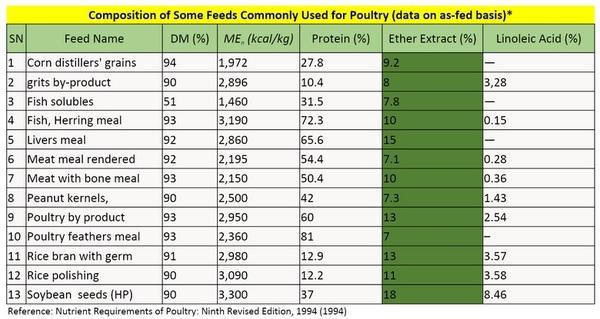 Unseen Challenges in Balancing Fat in Poultry Nutrition - Image 3