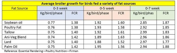 Unseen Challenges in Balancing Fat in Poultry Nutrition - Image 2