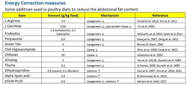 Unseen Challenges in Balancing Fat in Poultry Nutrition - Image 4