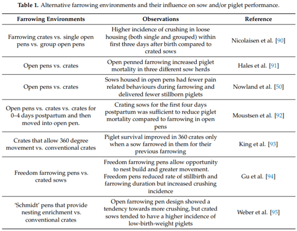 Are Larger Litters a Concern for Piglet Survival or An Effectively Manageable Trait? - Image 1