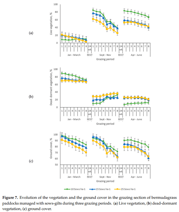 Sows-Gilts Stocking Rates and Their Environmental Impact in Rotationally Managed Bermudagrass Paddocks - Image 6