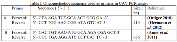 Validation of polymerase chain reaction assay as an alternative method for detection of chicken anemia virus as a vaccine contaminant - Image 1