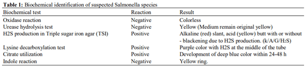 Prevalence and Genotypic Analysis and Antibiotic Resistance of Salmonella Species Isolated from Imported and Freshly Slaughtered Chicken - Image 1