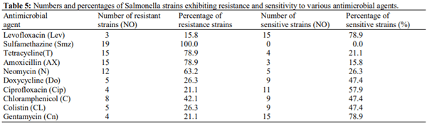 Prevalence and Genotypic Analysis and Antibiotic Resistance of Salmonella Species Isolated from Imported and Freshly Slaughtered Chicken - Image 5